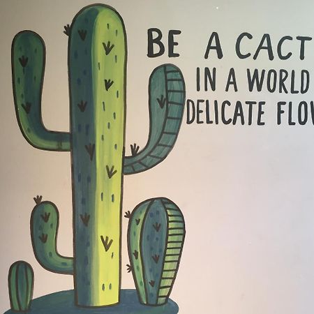 Bajas Cactus Hostel 카보산루카스 외부 사진