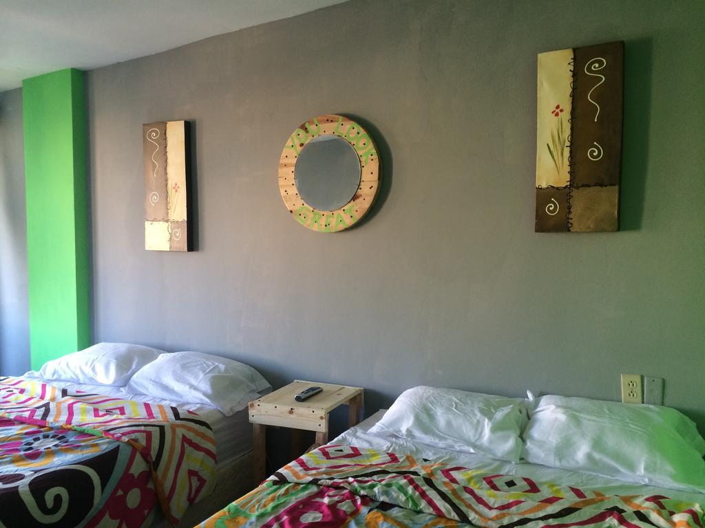 Bajas Cactus Hostel 카보산루카스 객실 사진