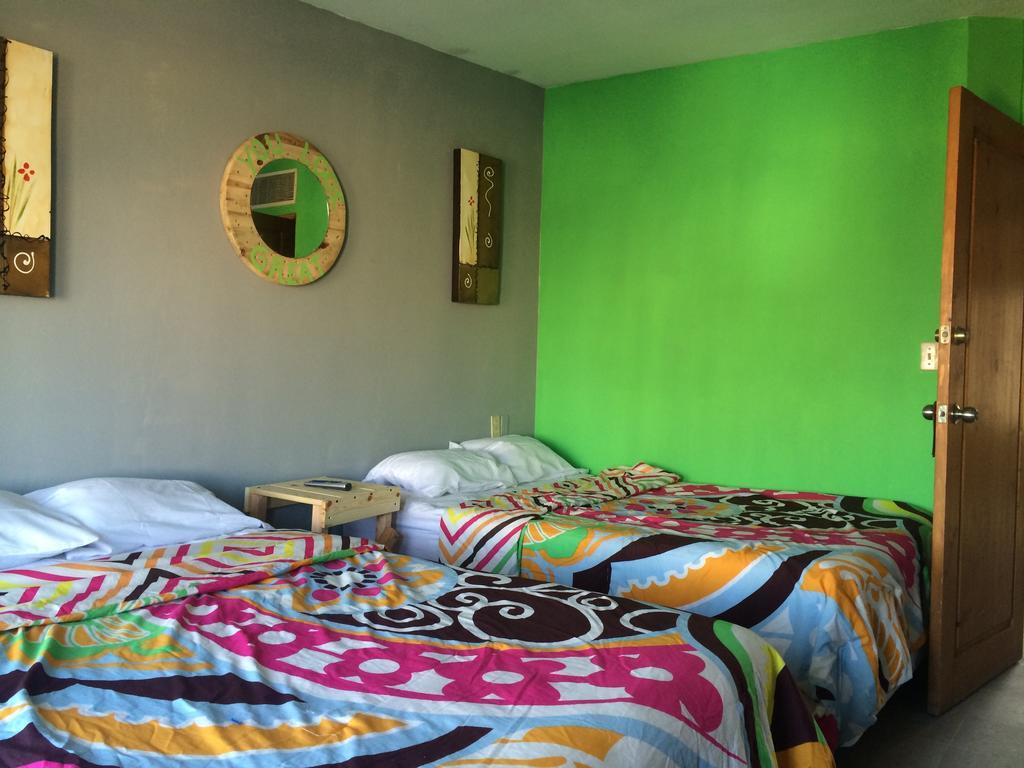 Bajas Cactus Hostel 카보산루카스 객실 사진