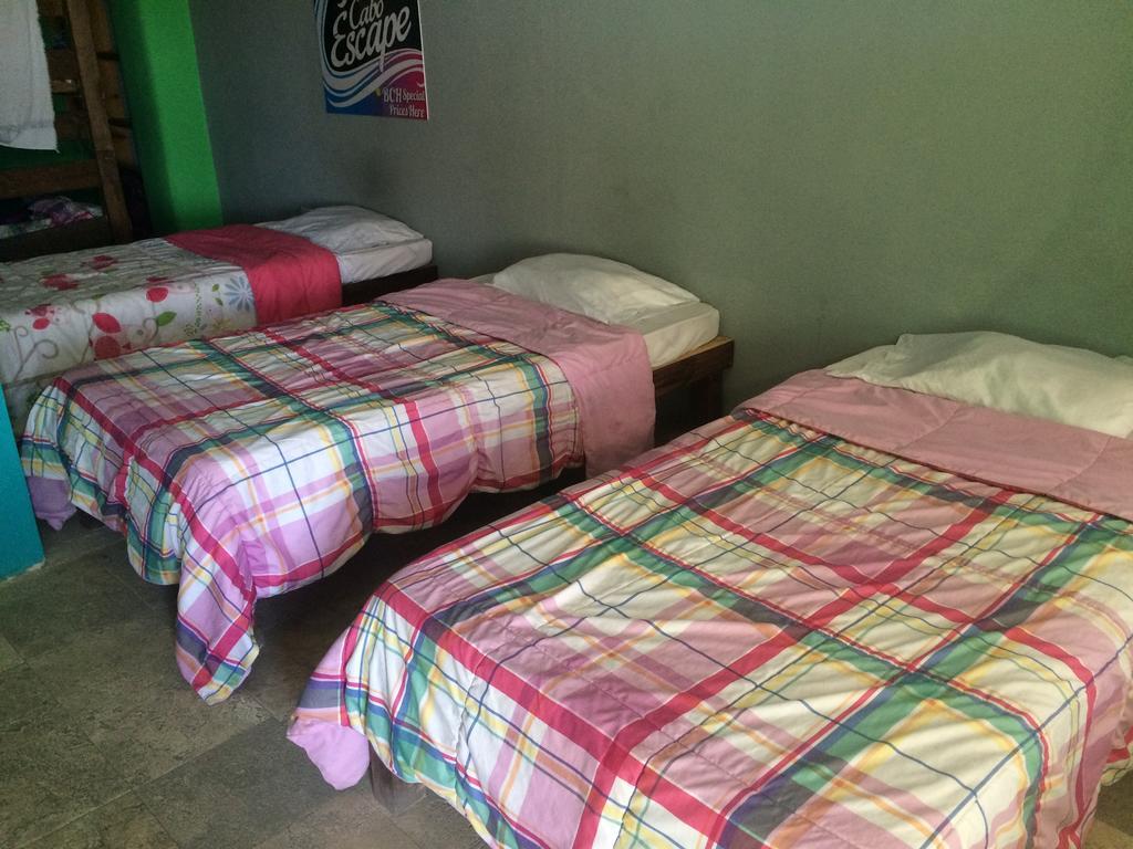 Bajas Cactus Hostel 카보산루카스 객실 사진