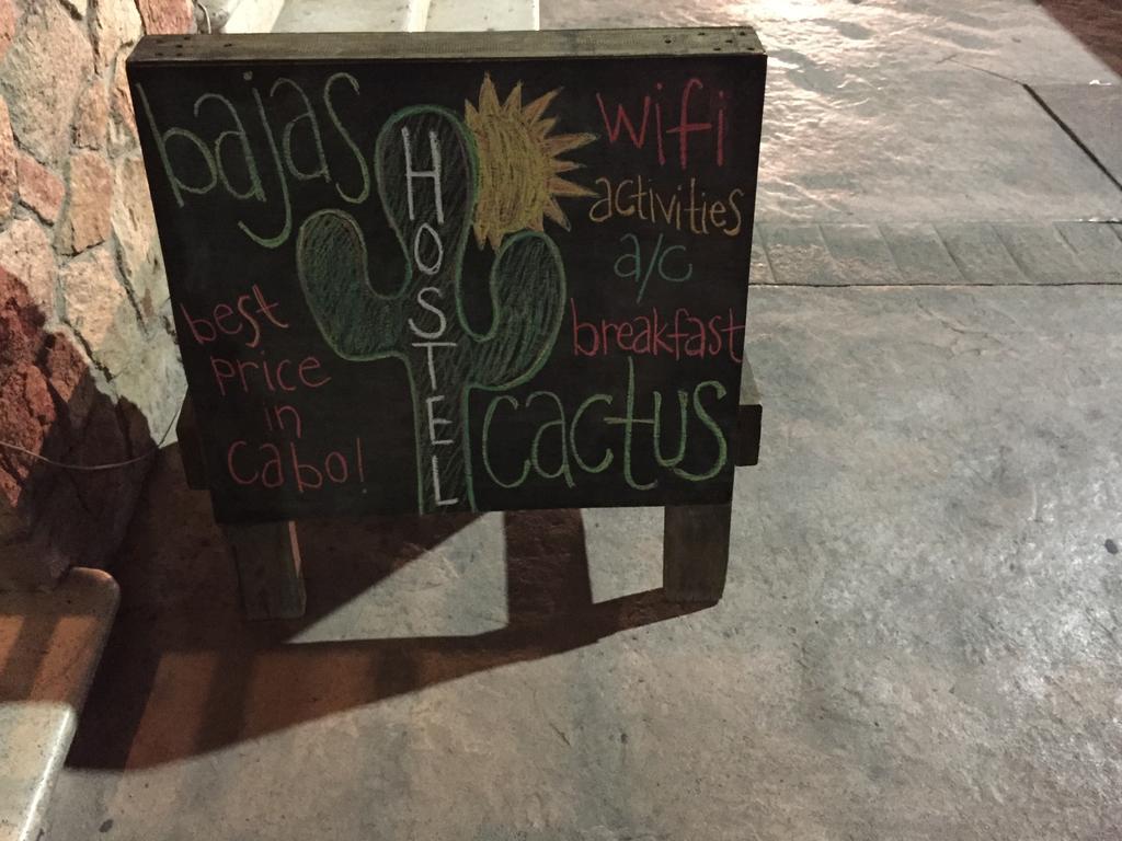 Bajas Cactus Hostel 카보산루카스 외부 사진
