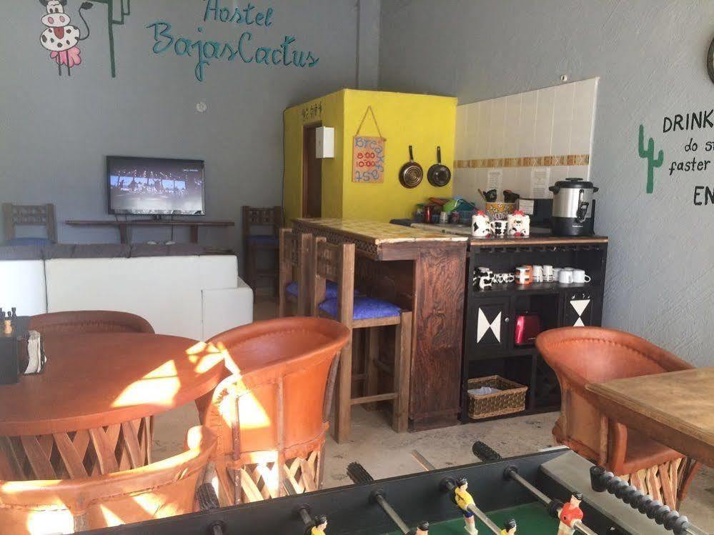 Bajas Cactus Hostel 카보산루카스 외부 사진