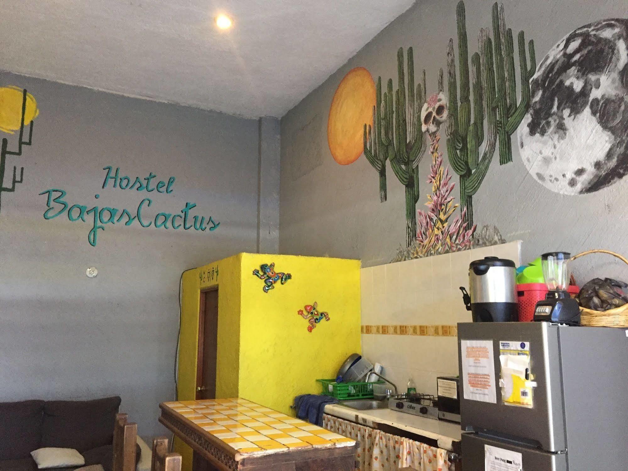 Bajas Cactus Hostel 카보산루카스 외부 사진