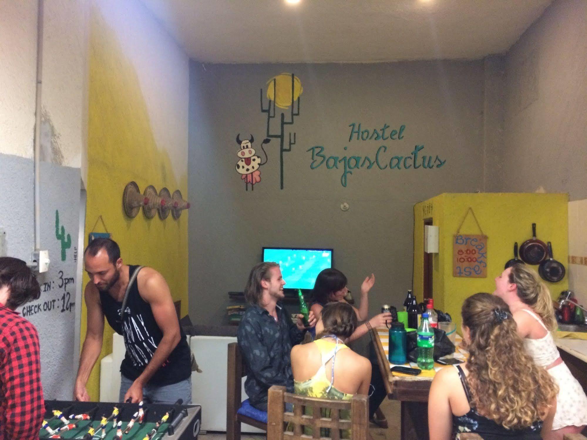 Bajas Cactus Hostel 카보산루카스 외부 사진