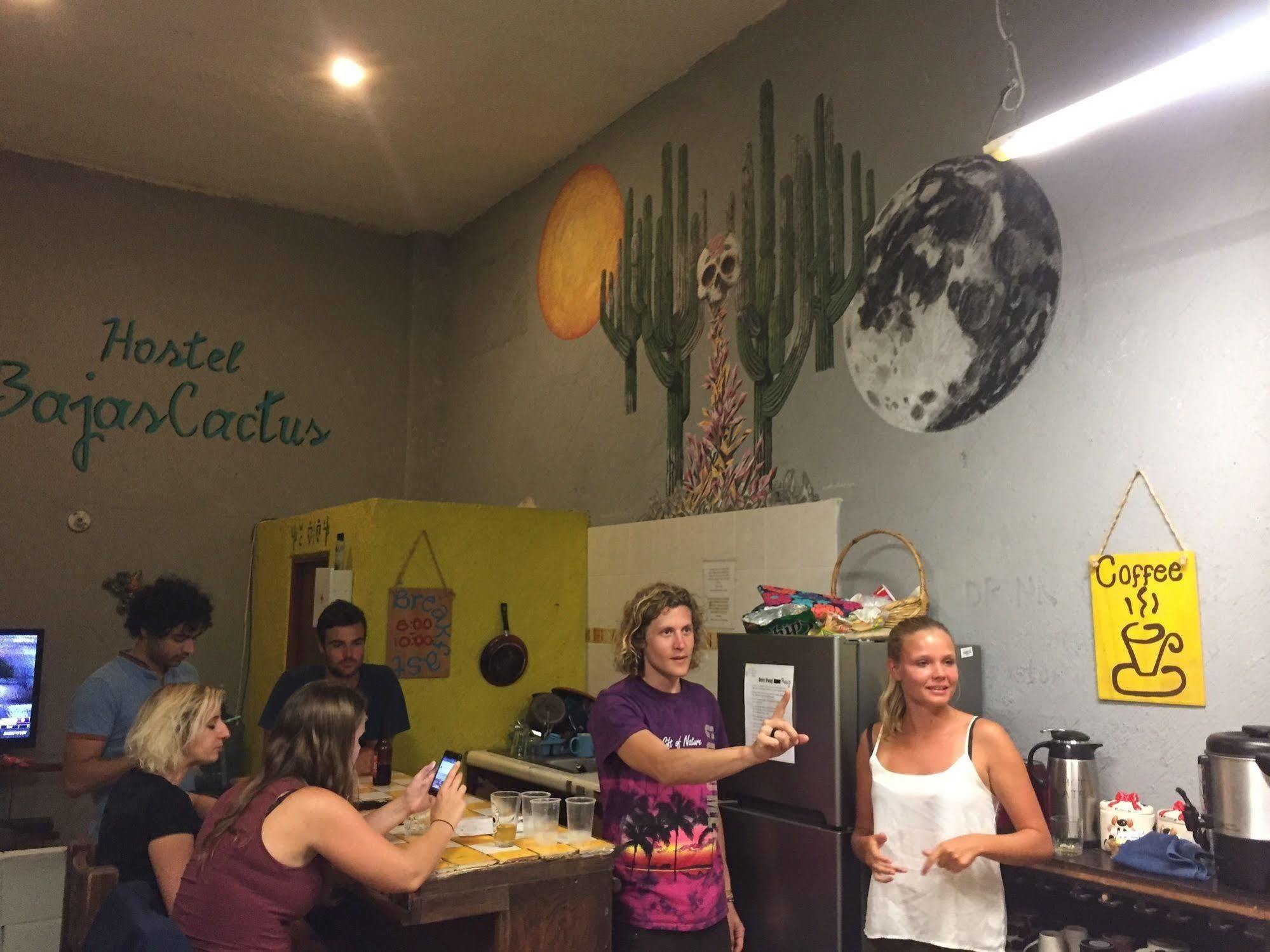 Bajas Cactus Hostel 카보산루카스 외부 사진