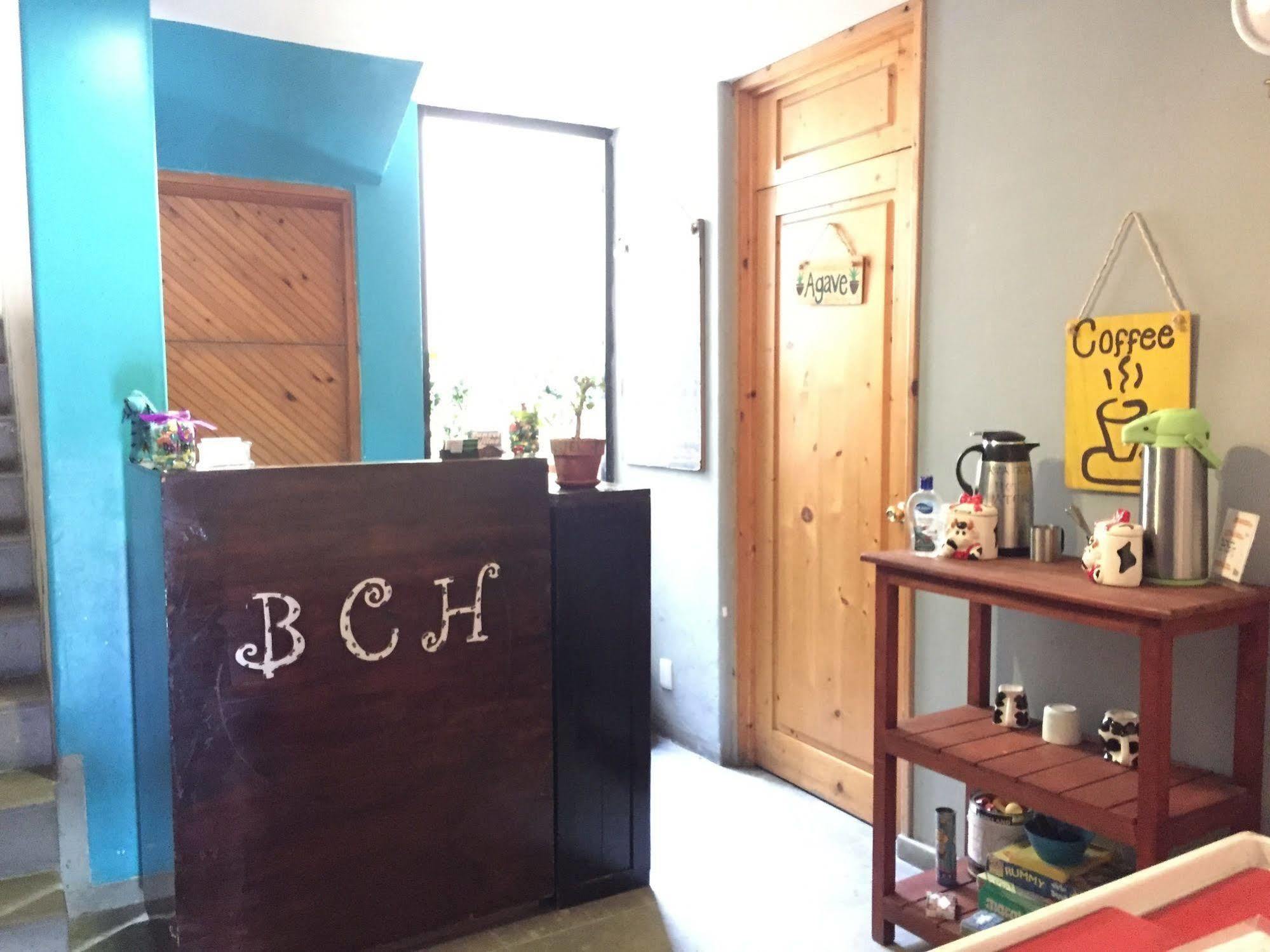 Bajas Cactus Hostel 카보산루카스 외부 사진