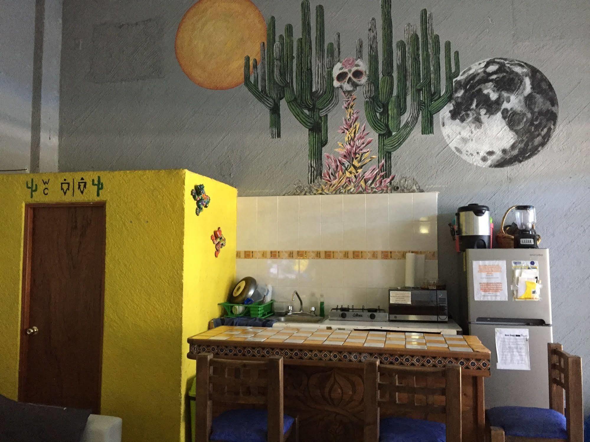 Bajas Cactus Hostel 카보산루카스 외부 사진