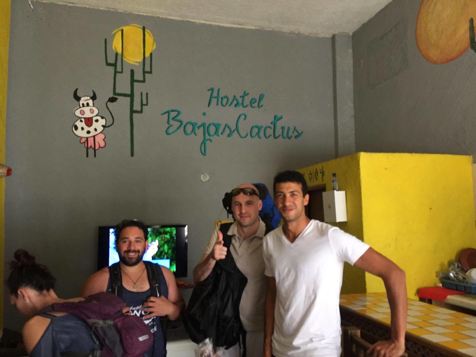 Bajas Cactus Hostel 카보산루카스 외부 사진