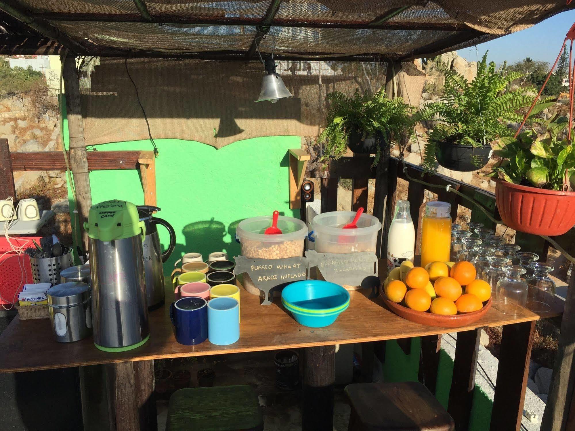 Bajas Cactus Hostel 카보산루카스 외부 사진