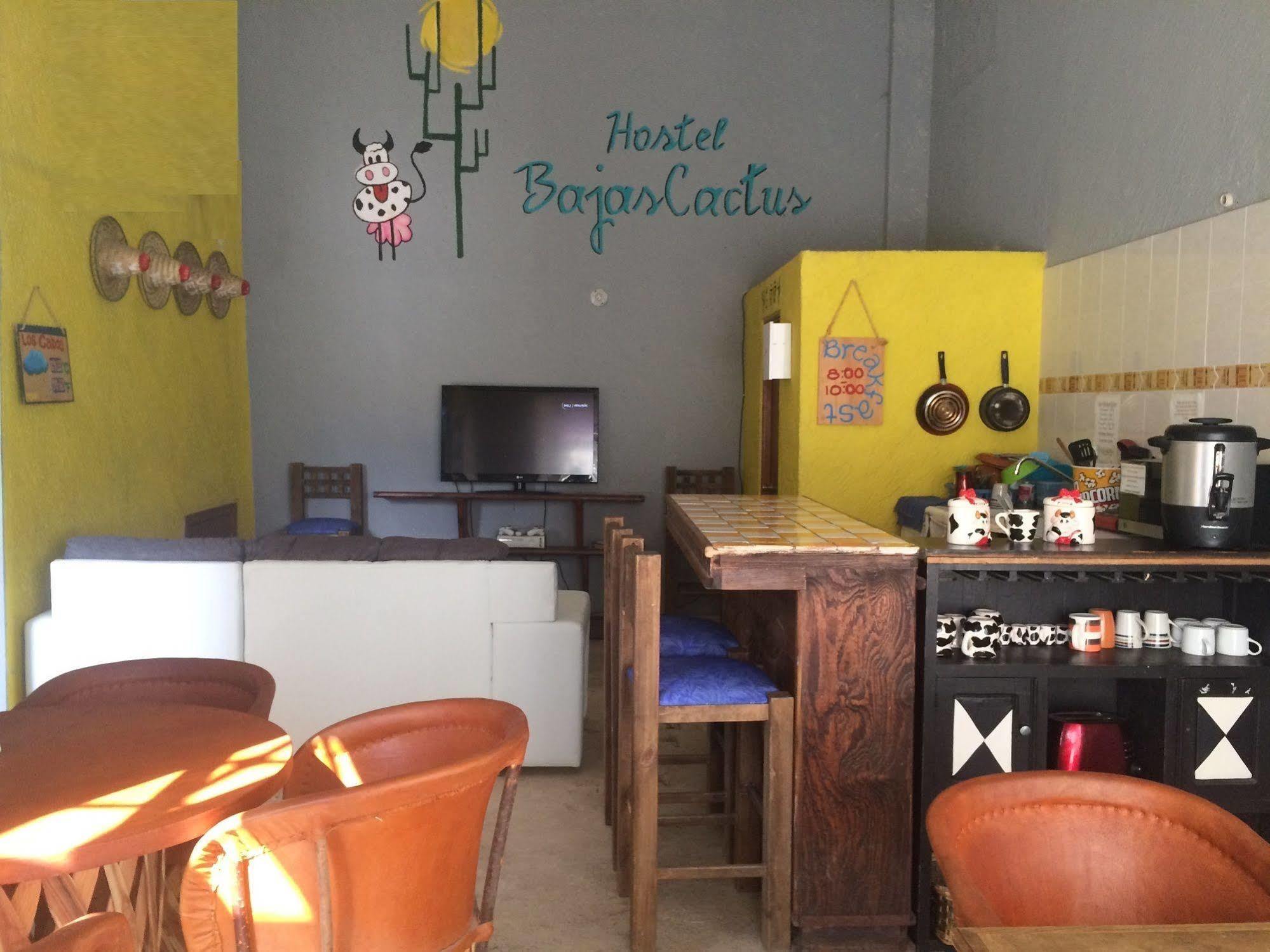 Bajas Cactus Hostel 카보산루카스 외부 사진