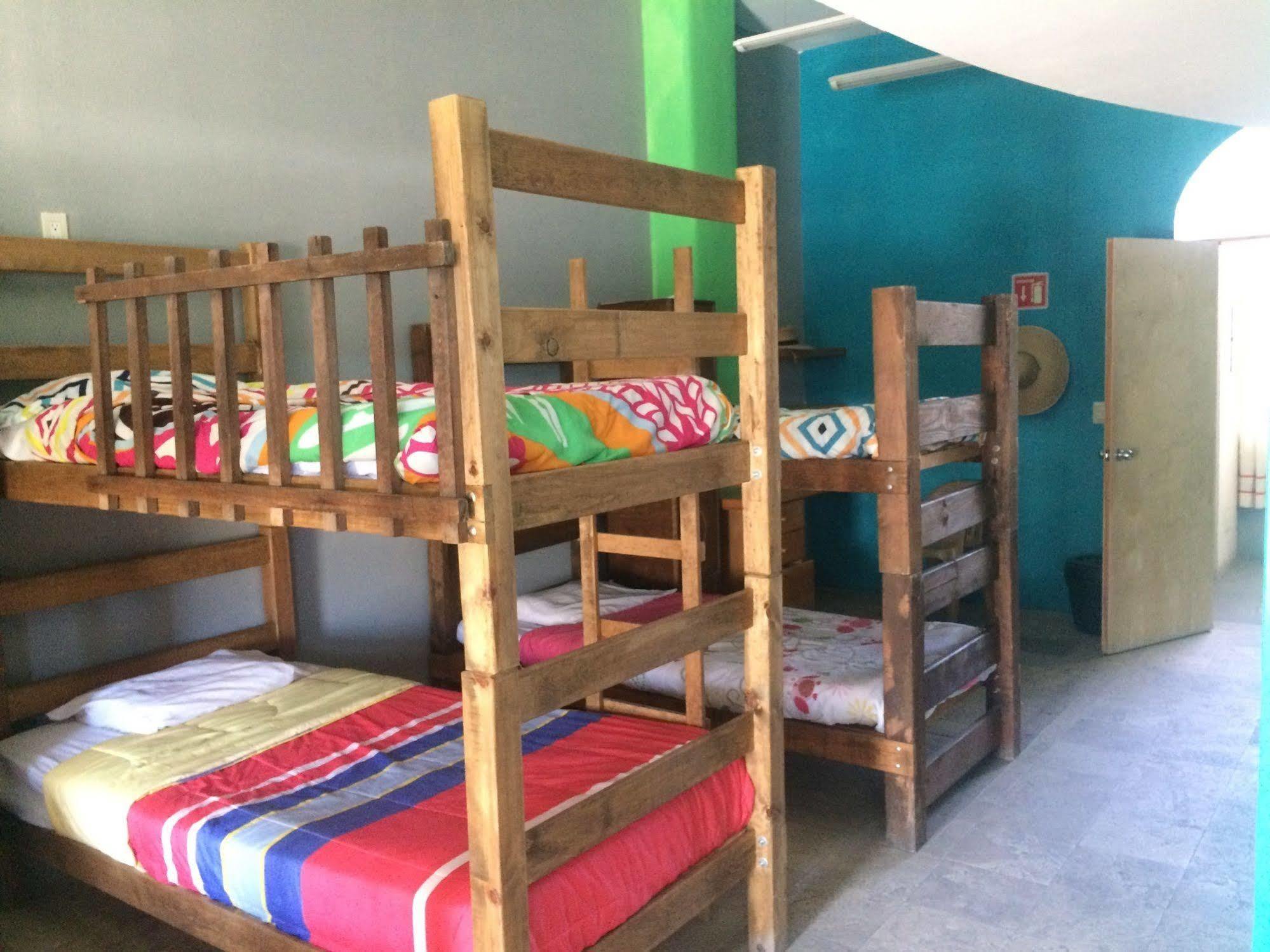 Bajas Cactus Hostel 카보산루카스 외부 사진