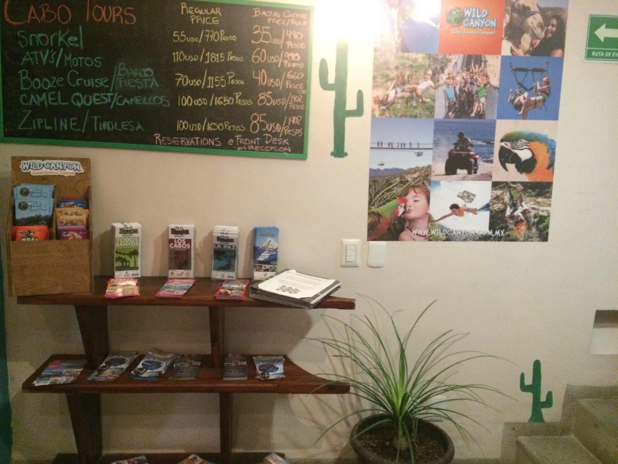 Bajas Cactus Hostel 카보산루카스 외부 사진