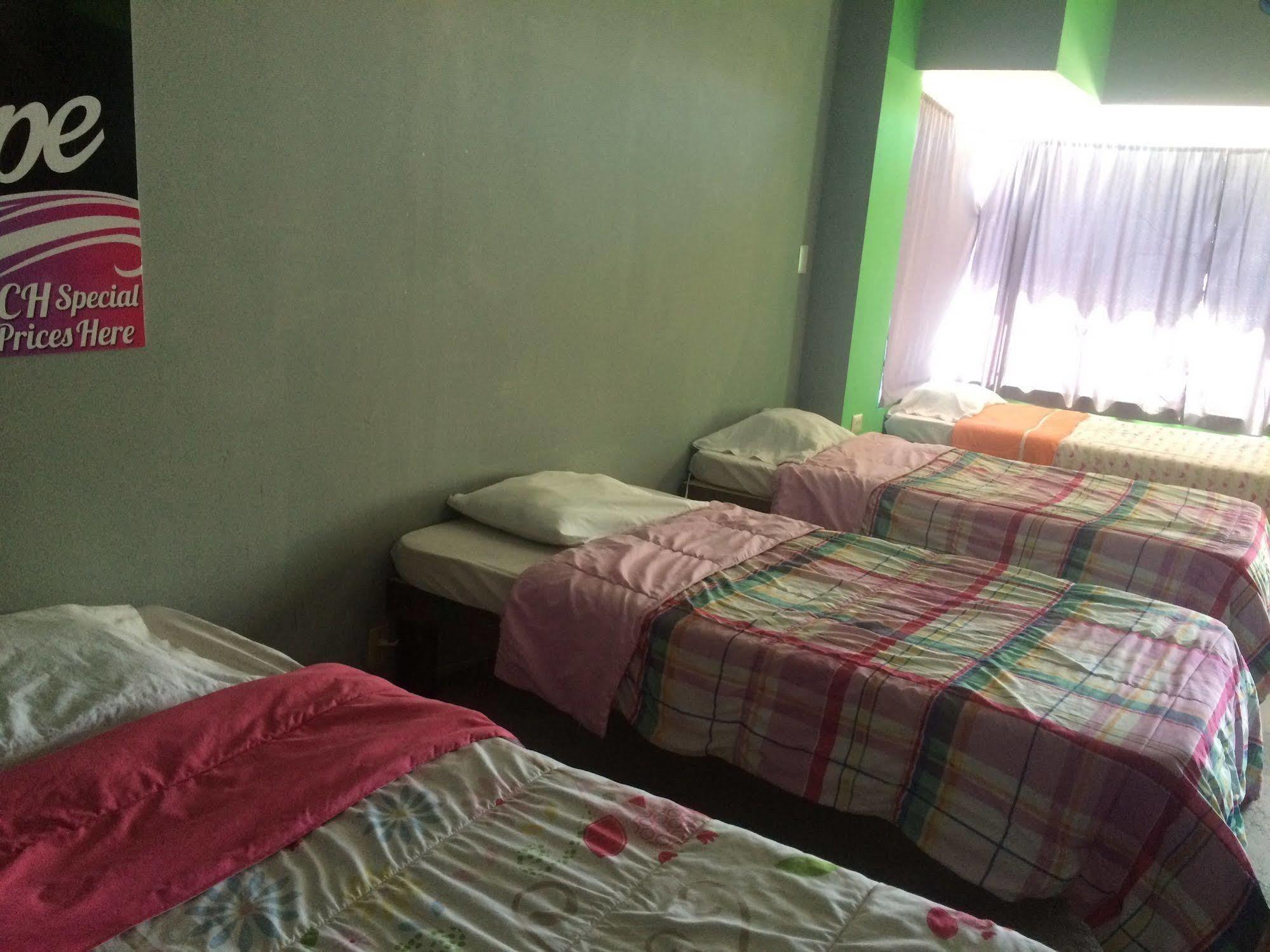 Bajas Cactus Hostel 카보산루카스 외부 사진
