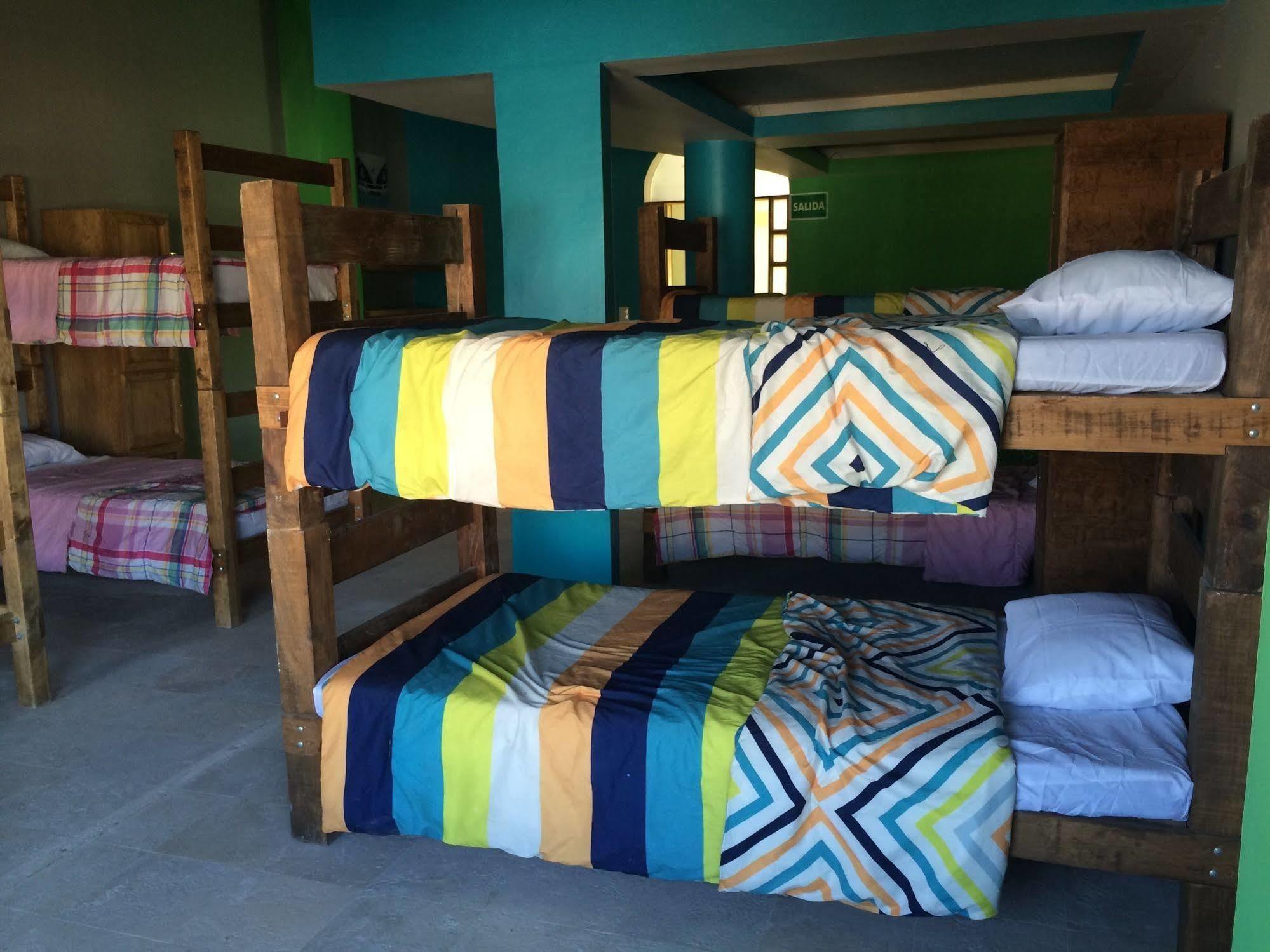 Bajas Cactus Hostel 카보산루카스 외부 사진