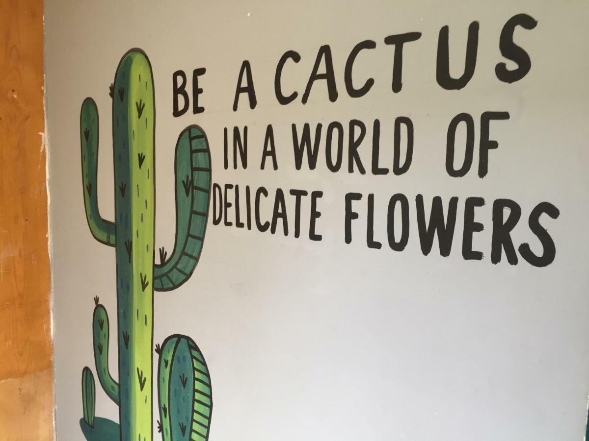 Bajas Cactus Hostel 카보산루카스 외부 사진
